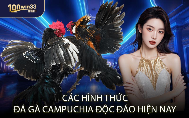 Các Hình Thức Đá Gà Campuchia Độc Đáo Hiện Nay