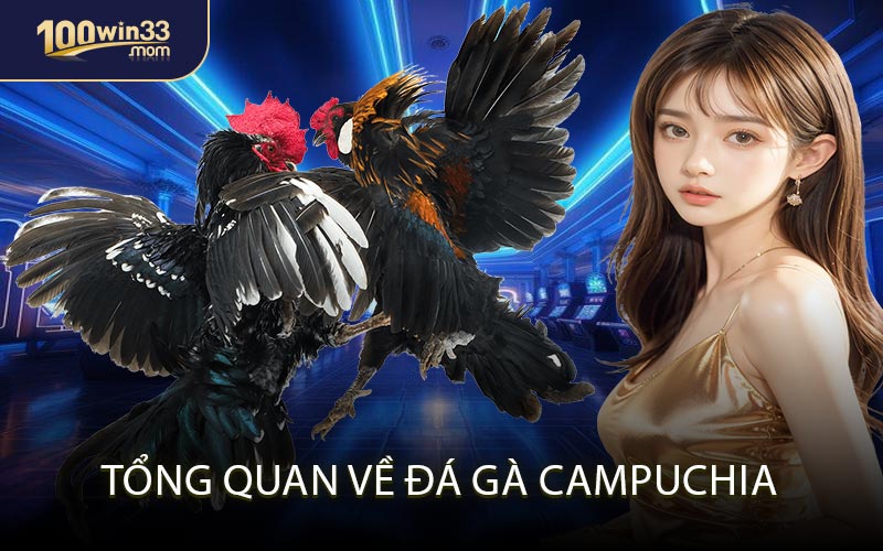 Tổng Quan Về Đá Gà Campuchia